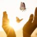 image of hands releasing butterflies