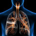 image example of respiratory system